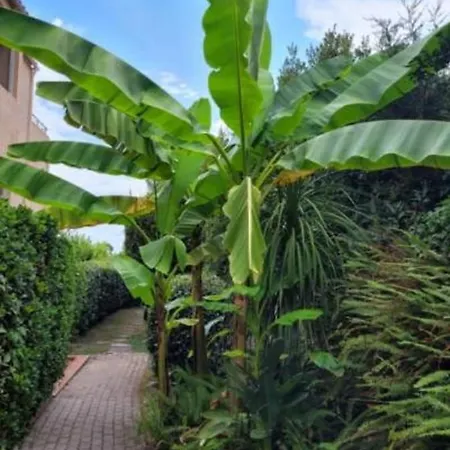 30 M With Terrace And Pool Apartamento